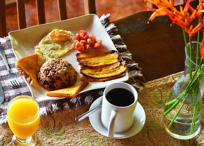 Acomodação com café da manhã  Kassandras House